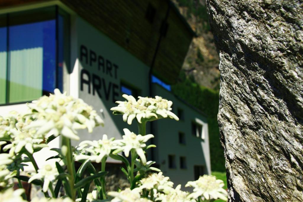 Apart Arve Sankt Leonhard im Pitztal Eksteriør billede